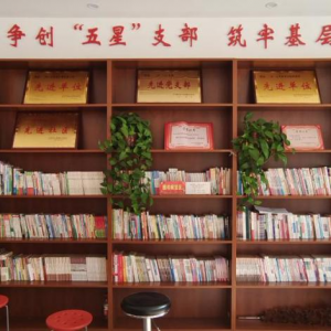 实施乡村振兴战略，建设美丽宜居乡村