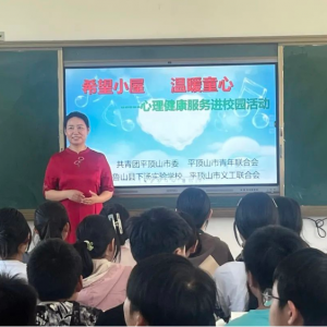 青春联手 助力振兴丨平顶山市青联开展“希望小屋”心理健康服务活动 ...