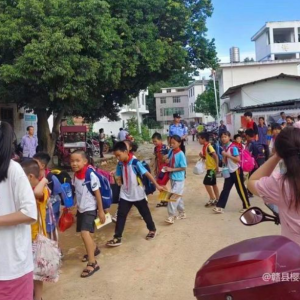 阳埠乡丨新时代文明实践志愿者护学志愿服务