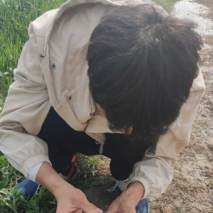 走近蟹类，实干提升自我