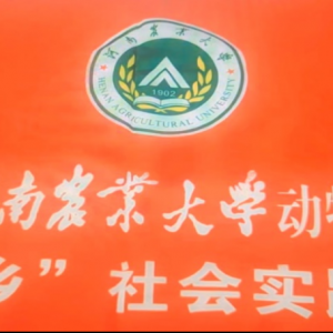 楚风汉韵古帝乡 云上直播话南阳