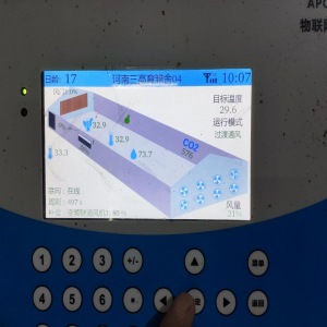 躬身实习实践，展现青春风采