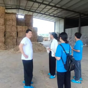 在实践中了解畜牧业