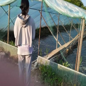 体验基层工作，传承吃苦精神