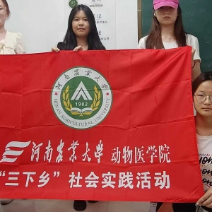 星火力接 丹心筑梦