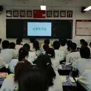 弘扬传统文化 根植文化自信