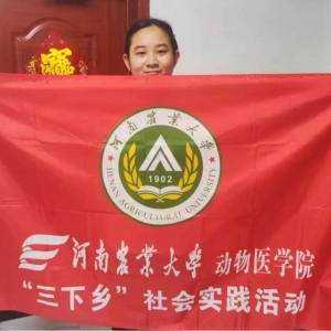 深入基层，实践之行