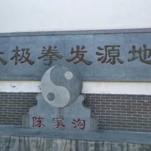 承太极神韵 展中华风采