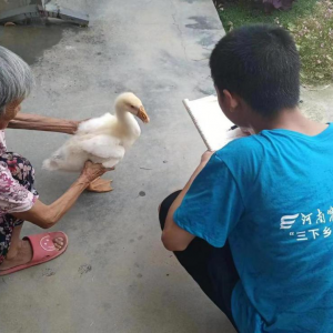 徐庄社区行志愿，下乡服务我先行