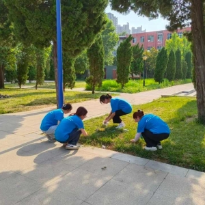 清扫烈士陵园，缅怀革命先烈