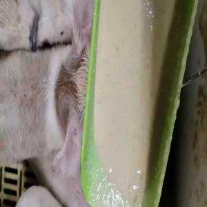 行微知著 求是力行