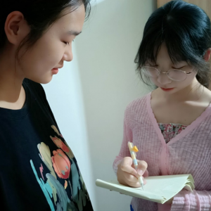 分散实践有序进行，助力构建“生育友好型社会”