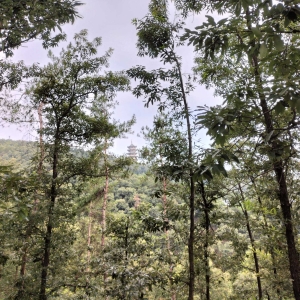 西峡寺山之旅 助力家乡发展