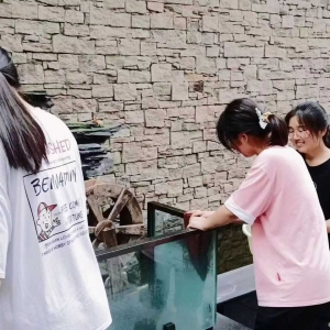 暖心陪伴志愿行，康养老人乐开怀