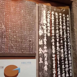 学党史，创青春