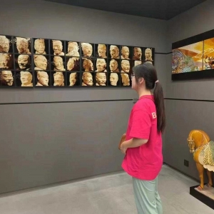  ˸Ž