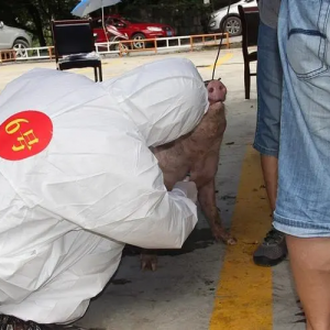 将汗水洒在绿色养殖途中