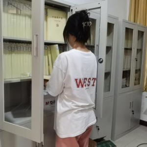 进入乡镇基层治理：成为一名“好帮手”