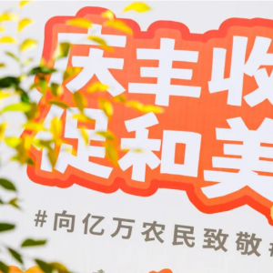 【社工站动态】闫楼乡社工站桐心绘社工“丰收节”促和美
