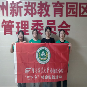 政务新风，青春践行