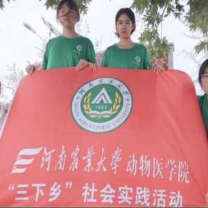 守护蓝天碧水，共绘绿色画卷