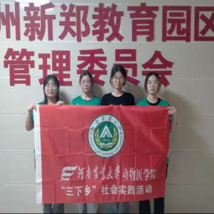 政务实践谱新篇，有志青年勇担当