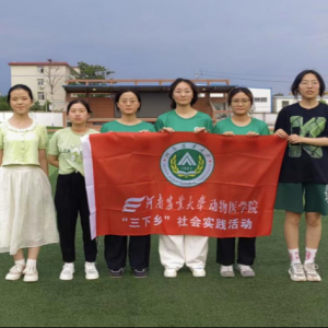 反诈青春行，共筑平安梦