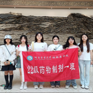 走进开封博物馆，探寻古都历史脉络