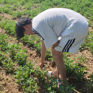 俯身青春沃土，深耕三农新篇