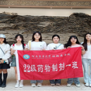 探寻历史脉络，领略文化魅力