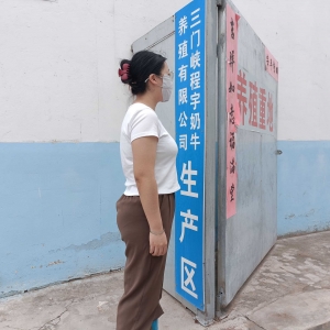 实践始于理论，在实践中践行理论