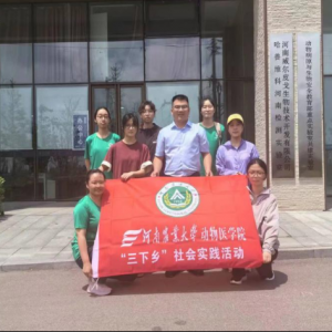 走进威尔皮戈 夯实自身基础