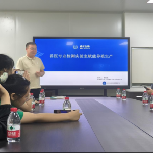 走进威尔皮革 夯实自身基础