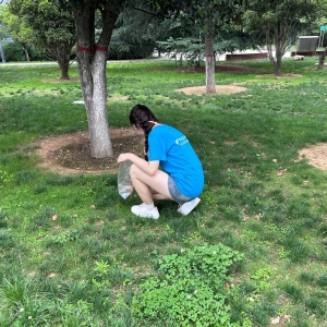 ɫʹߣж