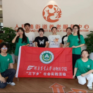 爱心筑梦养老院 志愿同行暖人间