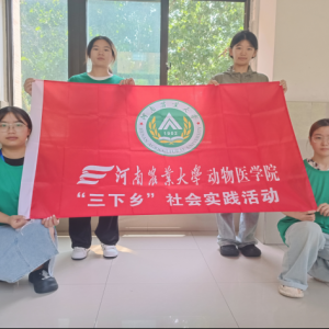 深入政务实践岗，沉浸教育园区情
