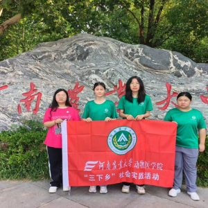 匠心情深鱼灯舞 商丘古韵非遗扬