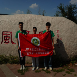 花园口植树造林，社会实践铸青春