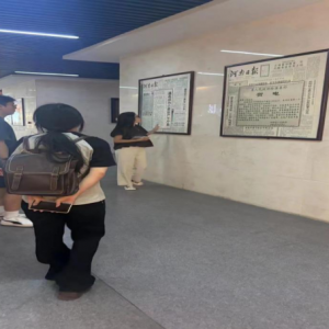 小麦万年传，耕耘天地间