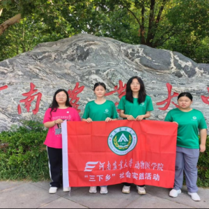 鱼跃龙门梦始商丘，灯照古韵情系中原