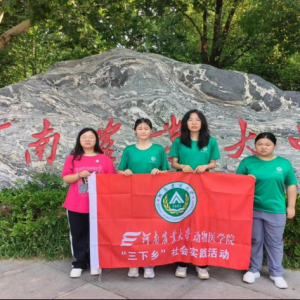 麦秆画韵悠悠传 非遗文化熠熠辉