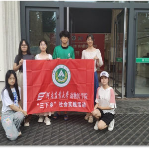 爱党路有我，青春益先行
