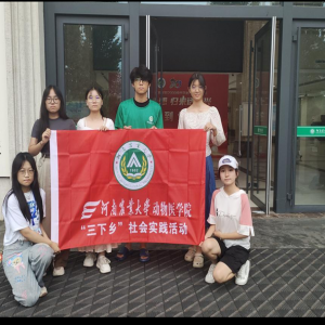 晨曦敬老共颂党，青春志愿传敬意