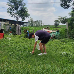 俯身青春沃土，深耕三农新章