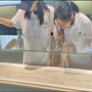 探秘黄河史，守护母亲河