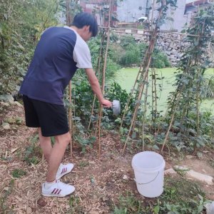 乡村振兴走基层，青春聚力正当时