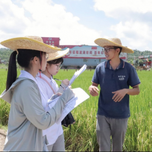 科技引领实践步，青春奉献乡村情