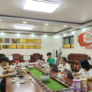 淼林实践磨砺青春志 养鹅探索坚定未来心