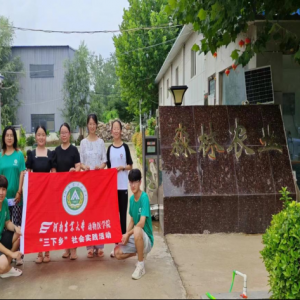 青春践淼林 梦想绽芳华