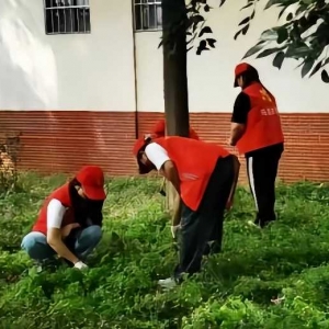 携手除杂草，共绘社区新画卷